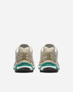 AMER SPORTS Denmark XT-6< Outdoor|Salomon Xt-6
