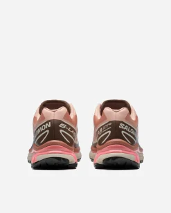 AMER SPORTS Denmark XT-6< Outdoor|Salomon Xt-6