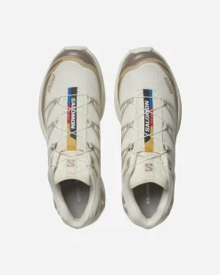 AMER SPORTS Denmark XT-6< Outdoor|Salomon Xt-6